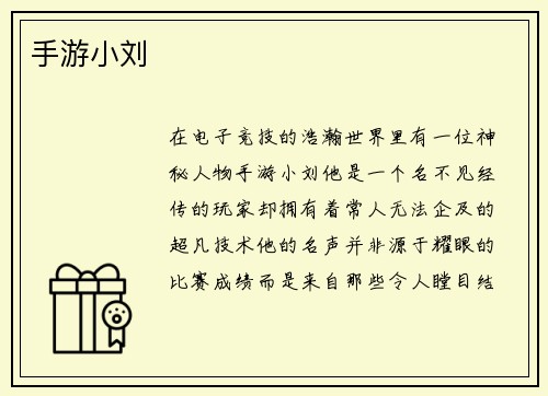 手游小刘
